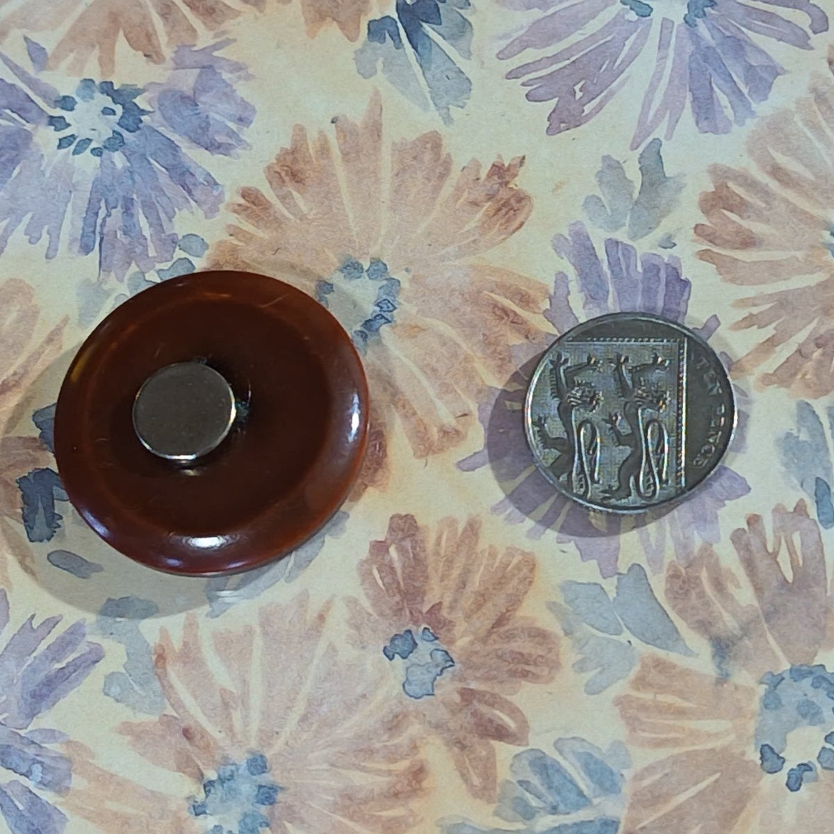 Large Brown Chunky Recycled Button Magnets Home Decor