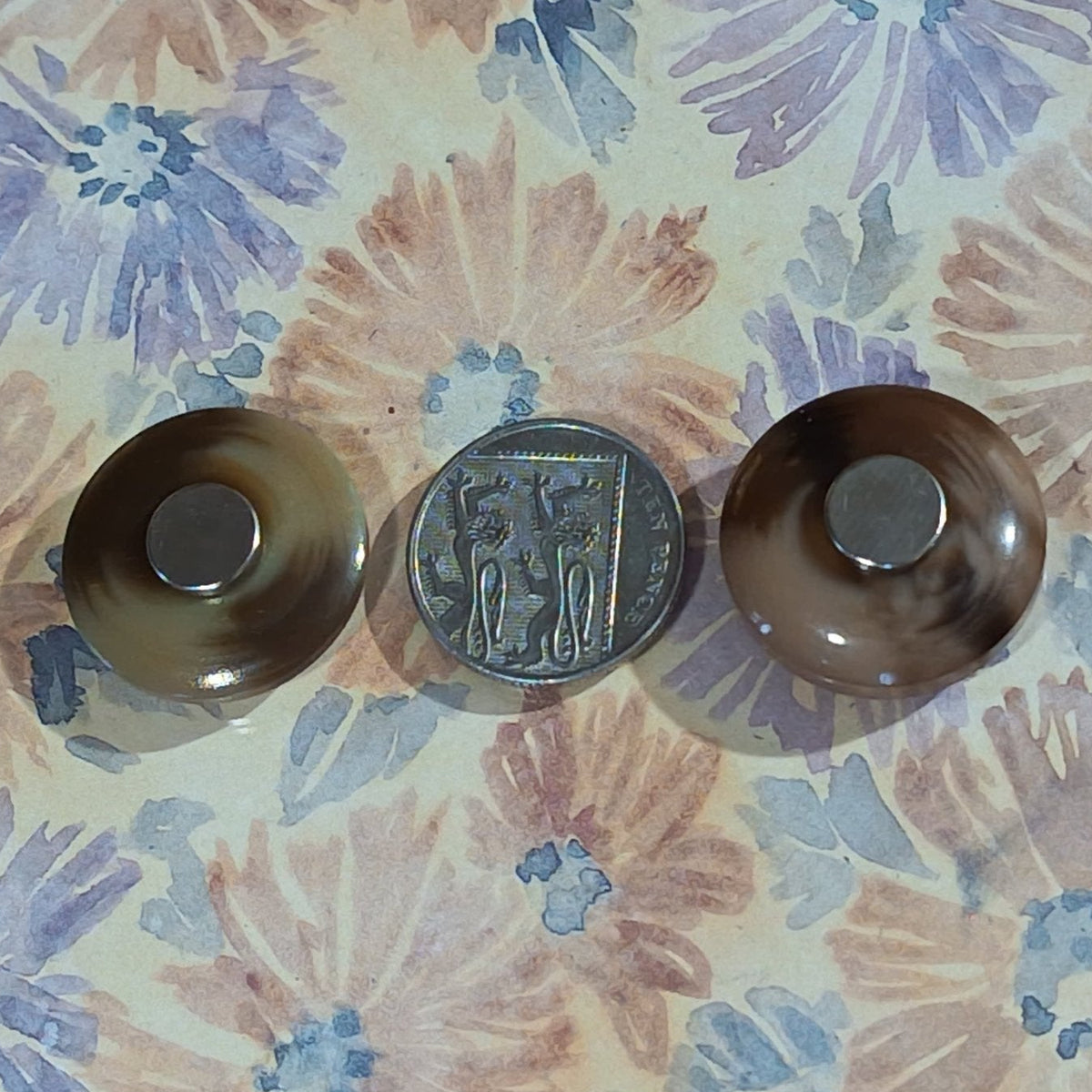 Medium Tortoishell Recycled Button Magnets Home Decor