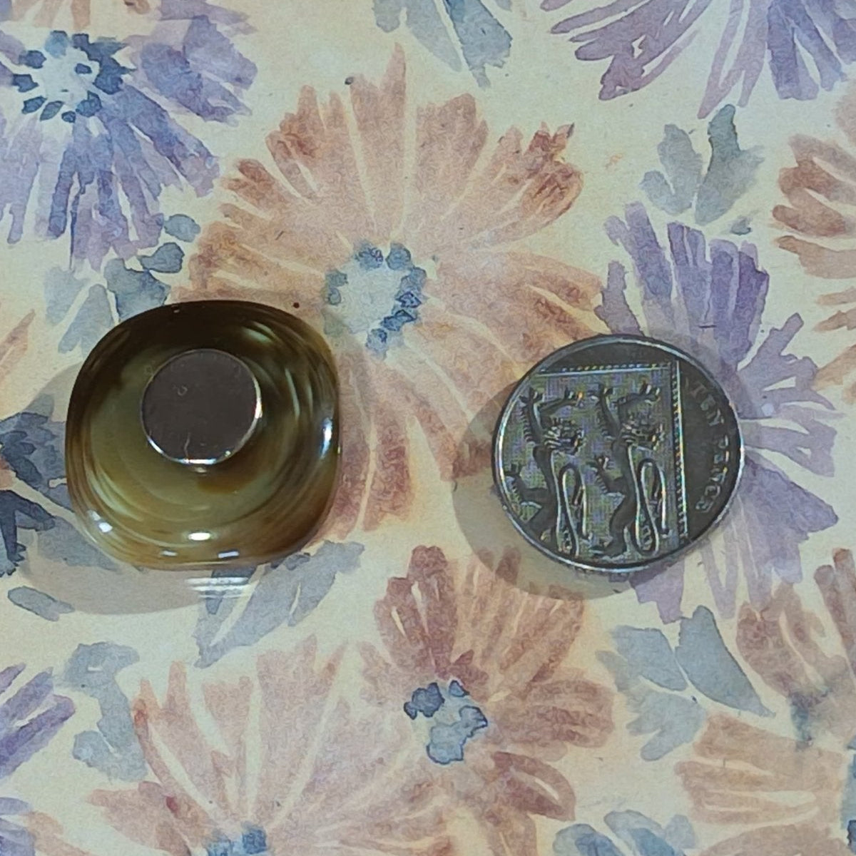 Medium Tortoishell Round Square Magnets Fridge Magnet